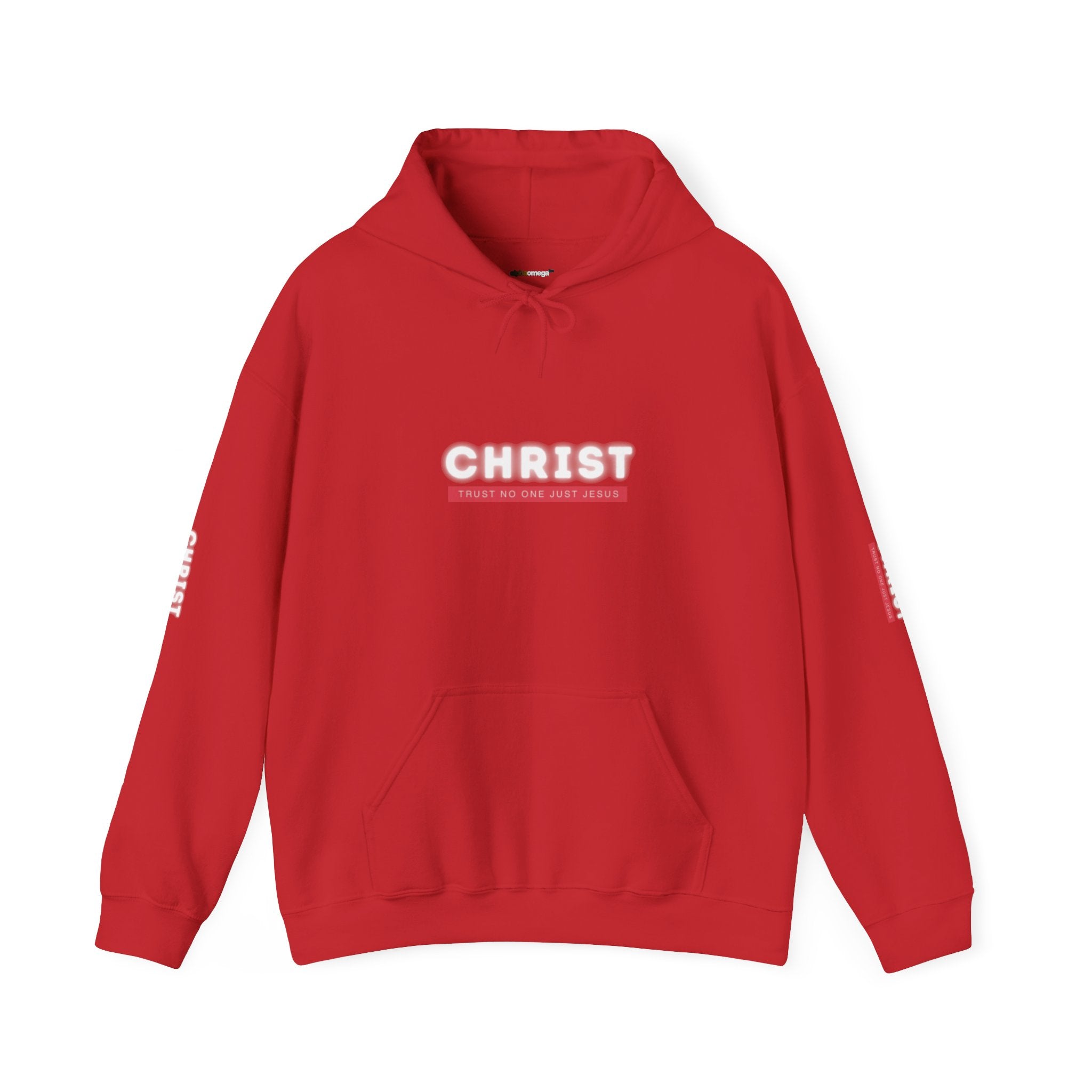 Trust No One Just Jesus Hoodie —  Pullover