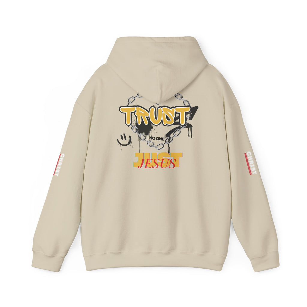 Trust No One Just Jesus Hoodie —  Pullover