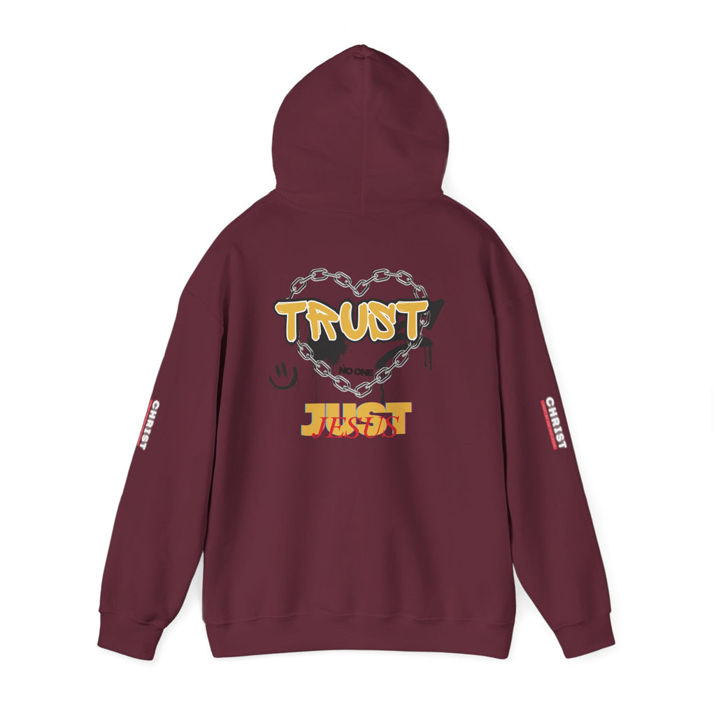 Trust No One Just Jesus Hoodie —  Pullover
