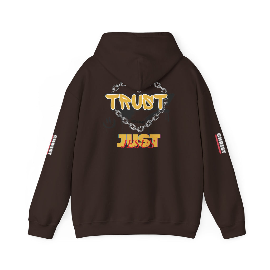 Trust No One Just Jesus Hoodie —  Pullover