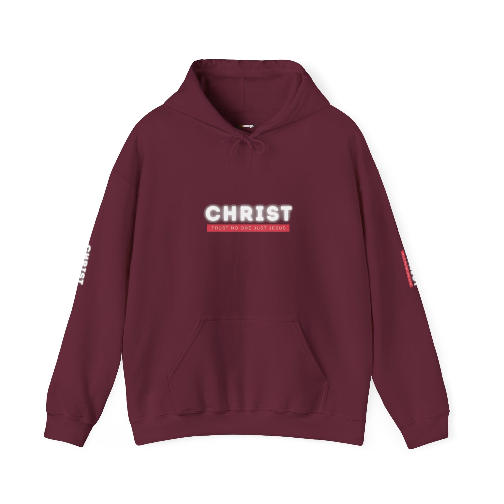 Trust No One Just Jesus Hoodie —  Pullover